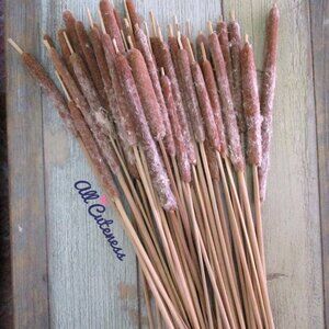 (NWOT) 45pc Brown Picks for Floral Arranging, Crafts and Decor